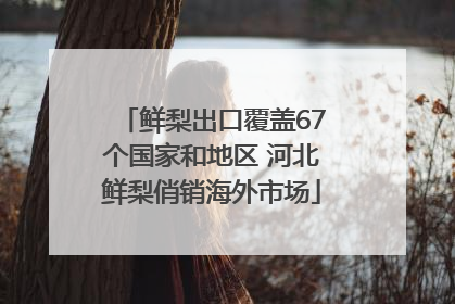 鲜梨出口覆盖67个国家和地区 河北鲜梨俏销海外市场