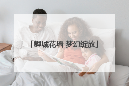 鲤城花墙 梦幻绽放