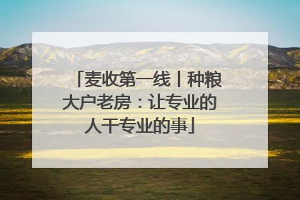麦收第一线丨种粮大户老房：让专业的人干专业的事