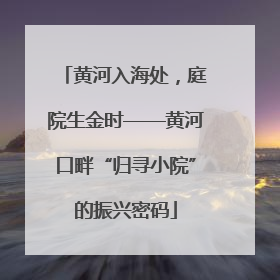 黄河入海处，庭院生金时——黄河口畔“归寻小院”的振兴密码