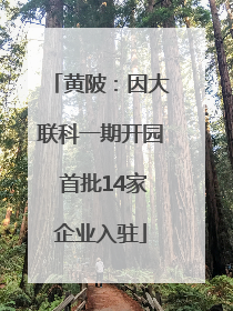 黄陂：因大联科一期开园 首批14家企业入驻