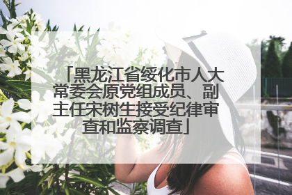 黑龙江省绥化市人大常委会原党组成员、副主任宋树生接受纪律审查和监察调查