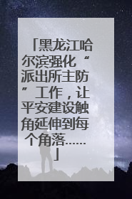 黑龙江哈尔滨强化“派出所主防”工作，让平安建设触角延伸到每个角落……