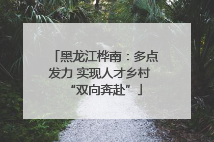 黑龙江桦南：多点发力 实现人才乡村“双向奔赴”