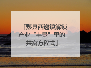 黟县西递镇解锁产业“丰景”里的共富方程式