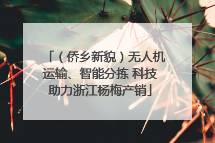 （侨乡新貌）无人机运输、智能分拣 科技助力浙江杨梅产销