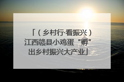 （乡村行·看振兴）江西赣县小鸡蛋“孵”出乡村振兴大产业