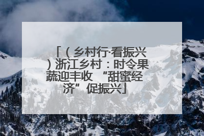 （乡村行·看振兴）浙江乡村：时令果蔬迎丰收 “甜蜜经济”促振兴