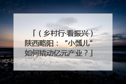 （乡村行·看振兴）陕西略阳：“小瓢儿”如何撬动亿元产业？