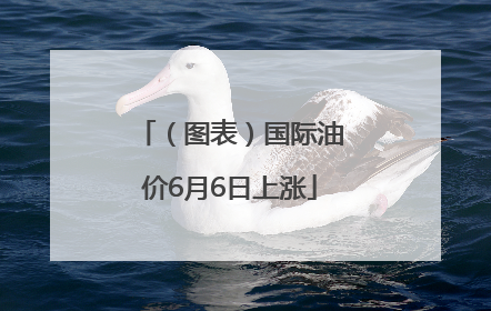 （图表）国际油价6月6日上涨