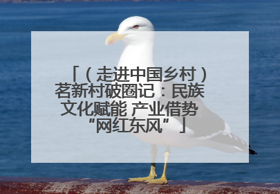（走进中国乡村）茗新村破圈记：民族文化赋能 产业借势 “网红东风”