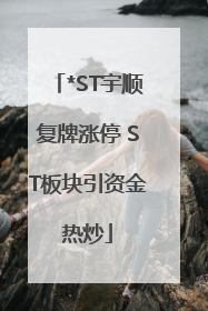 *ST宇顺复牌涨停 ST板块引资金热炒