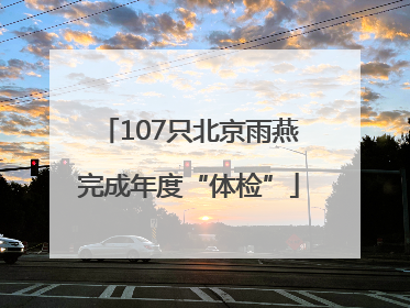 107只北京雨燕完成年度“体检”