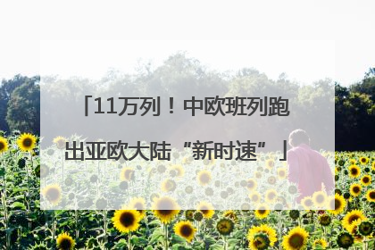 11万列！中欧班列跑出亚欧大陆“新时速”