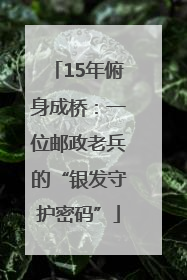 15年俯身成桥：一位邮政老兵的“银发守护密码”
