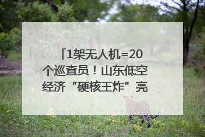 1架无人机=20个巡查员！山东低空经济“硬核王炸”亮相青岛，下一个万亿赛道藏在这里
