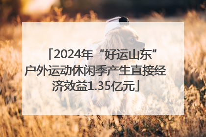 2024年“好运山东”户外运动休闲季产生直接经济效益1.35亿元