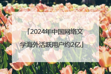 2024年中国网络文学海外活跃用户约2亿
