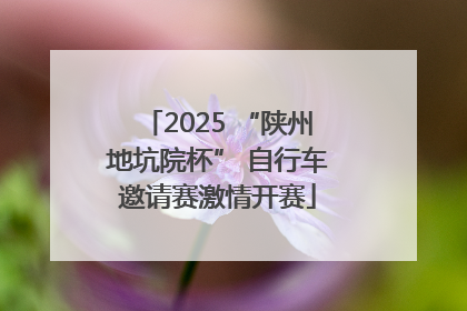 2025 “陕州地坑院杯” 自行车邀请赛激情开赛