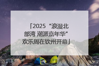 2025“浪漫北部湾 潮派嘉年华”欢乐周在钦州开幕