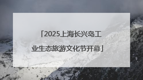 2025上海长兴岛工业生态旅游文化节开幕