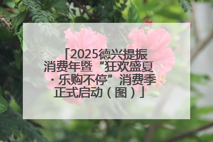 2025德兴提振消费年暨“狂欢盛夏・乐购不停”消费季正式启动（图）