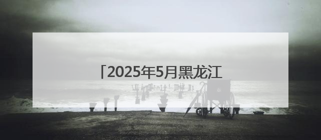 2025年5月黑龙江省查处违反中央八项规定精神问题805起