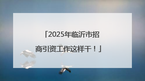 2025年临沂市招商引资工作这样干！