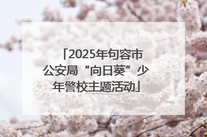 2025年句容市公安局“向日葵”少年警校主题活动