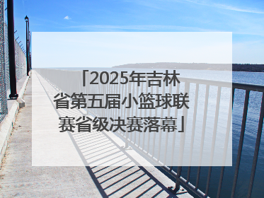 2025年吉林省第五届小篮球联赛省级决赛落幕