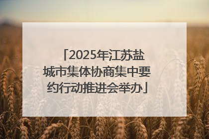 2025年江苏盐城市集体协商集中要约行动推进会举办
