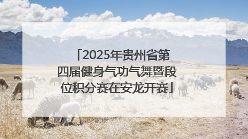 2025年贵州省第四届健身气功气舞暨段位积分赛在安龙开赛