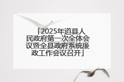2025年道县人民政府第一次全体会议暨全县政府系统廉政工作会议召开