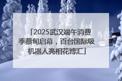 2025武汉端午消费季蔡甸启幕，百台国际级机器人亮相花博汇