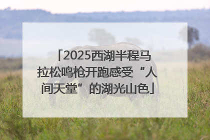 2025西湖半程马拉松鸣枪开跑感受“人间天堂”的湖光山色