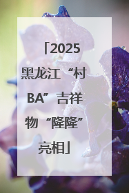 2025黑龙江“村BA”吉祥物“隆隆”亮相