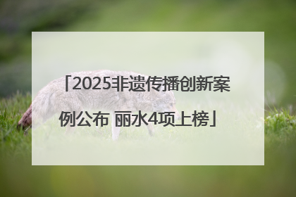 2025非遗传播创新案例公布 丽水4项上榜