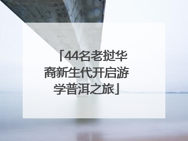 44名老挝华裔新生代开启游学普洱之旅