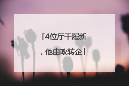 4位厅干履新，他由政转企