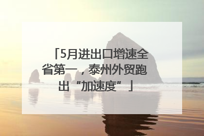 5月进出口增速全省第一，泰州外贸跑出“加速度”