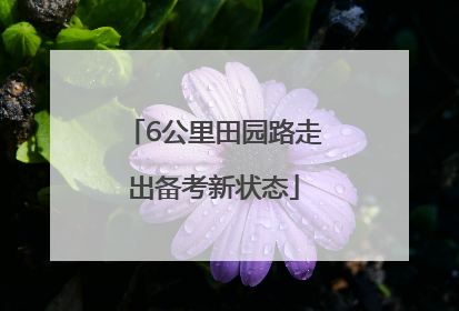 6公里田园路走出备考新状态