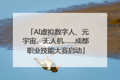 AI虚拟数字人、元宇宙、无人机……成都职业技能大赛启动